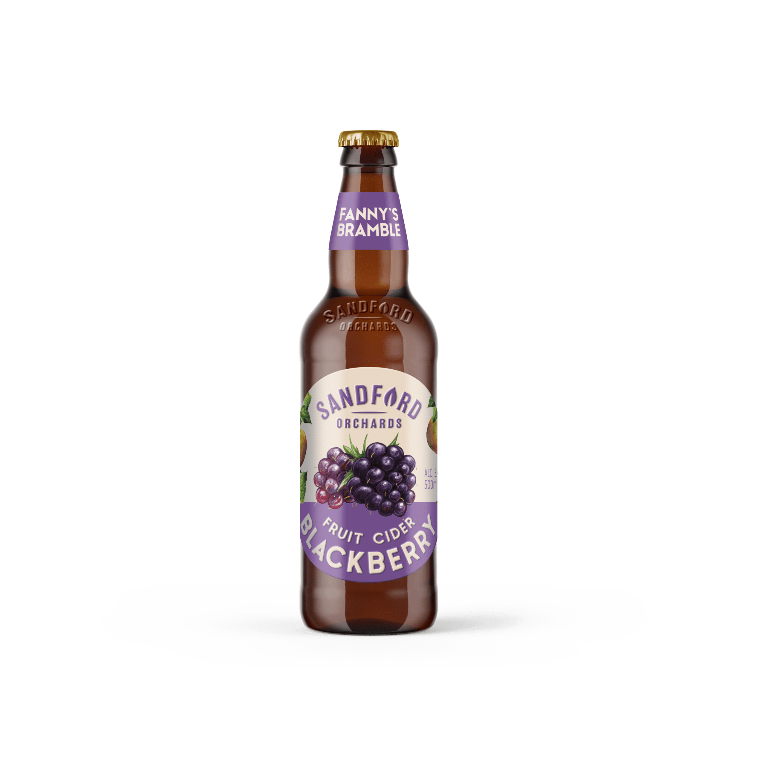 SO UPDT 2025 500ml bottle fruit BLACKBERRY scaled